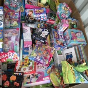 buy toy liquidation pallets in Netherlands